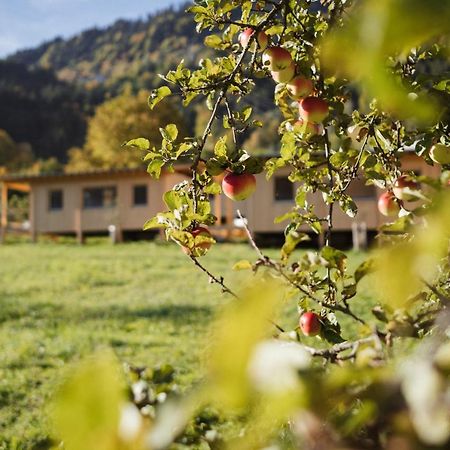 Villa Pinjola à Vandans Extérieur photo