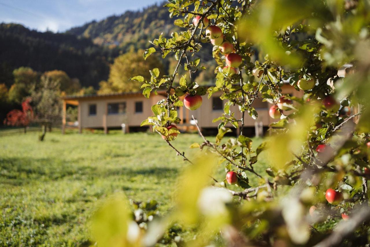 Villa Pinjola à Vandans Extérieur photo